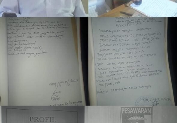 WhatsApp Image 2026-02-15 at 00.05.27